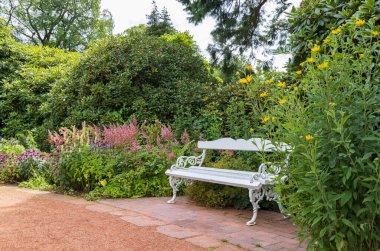 White bench in Rose garden in castle park in Oldenburg in Lower Saxony in Germany Europe