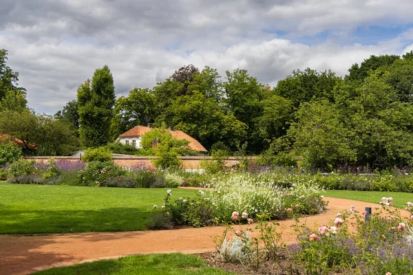 Rose Garden Castle Park Oldenburg Lower Saxony Germany Europe — Stockfoto