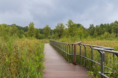 Marsh walk behind information Centre Paalhuus biosphere nature park Schaalsee in Zarrentin along the former internal border West and East GermanySchaalsee