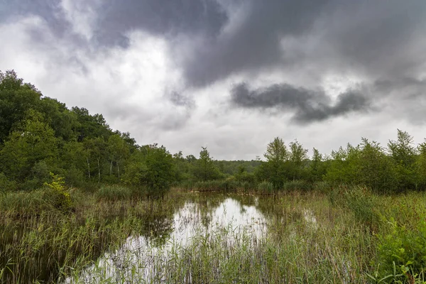 Marsh walk behind information Centre Paalhuus biosphere nature park Schaalsee in Zarrentin along the former internal border West and East GermanySchaalsee