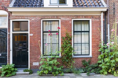 Flowers and plants in front of old city houses in Zoutstraat in Groningen city in The Netherlands.