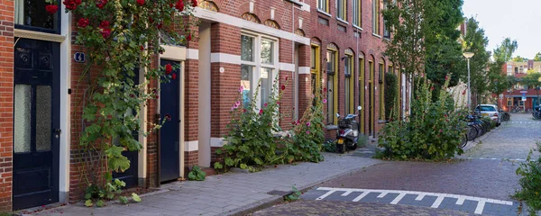 Flowers Plants Front Old City Houses Zoutstraat Groningen City Netherlands — Φωτογραφία Αρχείου