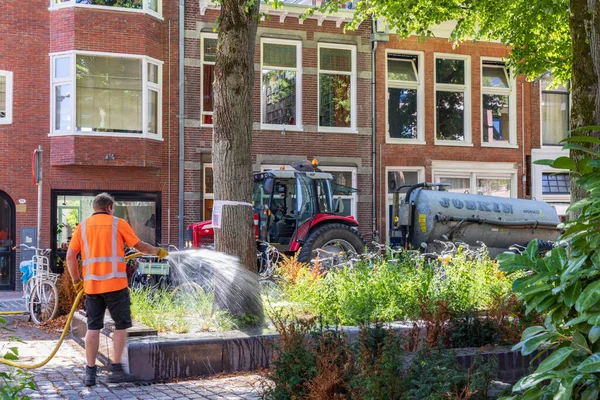 Groningen Netherlands August 2022 Watering Flowers Plants Center Groningen City — Foto de Stock