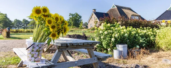 Farm Shop Sunflowers Niebert Municipality Westerkwartier Groningen Province Netherlands — стоковое фото