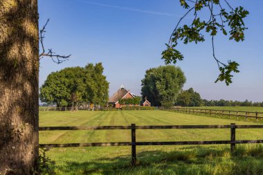 Traditional farm surrounded by old trees and espalier in Tolbert municipality Westerkwartier in the Groningen province Netherlands