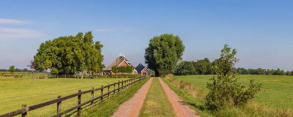Traditional Farm Surrounded Old Trees Espalier Tolbert Municipality Westerkwartier Groningen — стокове фото