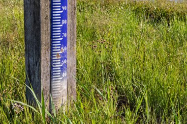 Alçak su seviyesi 2022 yazında meydana gelen sıcak hava dalgası sonucu Blauwe Kamer doğa koruma alanında su seviyesi açıkça görülebilmektedir..