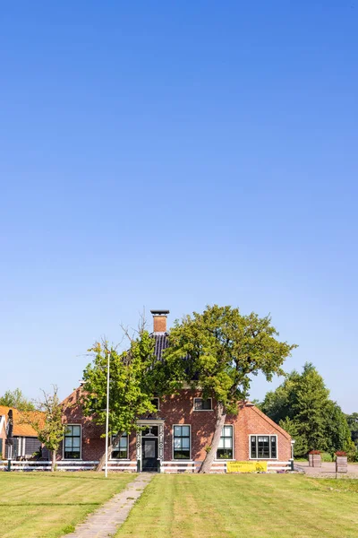 Tolbert Netherlands August 2022 Traditional Farm Surrounded Old Trees Called — Zdjęcie stockowe