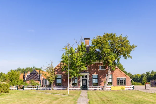 Tolbert Netherlands August 2022 Traditional Farm Surrounded Old Trees Called — Stockfoto