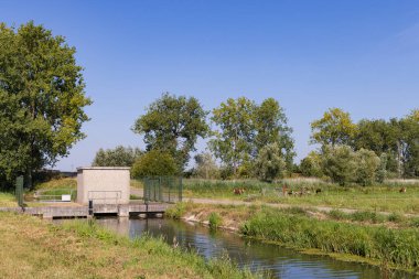 Betuwe Hollanda 'daki Lienden' deki su birikintisi hendeklerdeki su seviyesinin çevre alanlarda meyve yetiştirmek için doğru seviyede kalmasını sağlar.