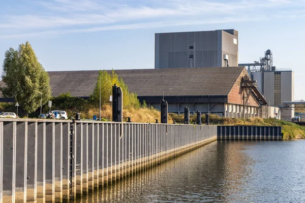 Niedrigwasser Rijnhaven Von Wageningen Gelderland Den Niederlanden Infolge Der Hitzewelle — Stockfoto
