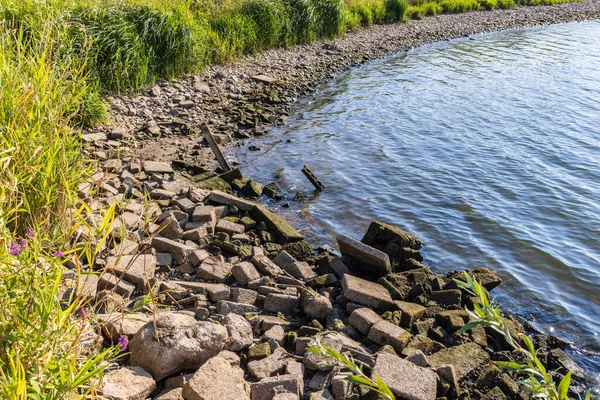 Livelli Acqua Estremamente Bassi Nel Reno Basso Reno Nell Estate — Foto Stock