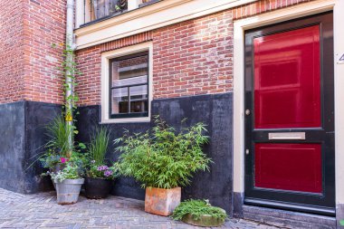 Hollanda 'nın kuzeyindeki Alkmaar' ın merkezinde bulunan eski bir şehir evinin önündeki çiçekler. Şehir yeşillenmesine iyi bir örnek.