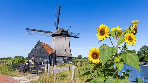 Traditional Windmill Molenkade Hoornse Vaart North Holland Netherlands — Stock Photo, Image
