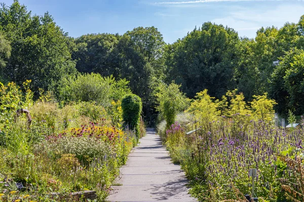 Zahrada Stezka Hortus Botanicus Alkmaar Severním Holandsku Nizozemsko — Stock fotografie