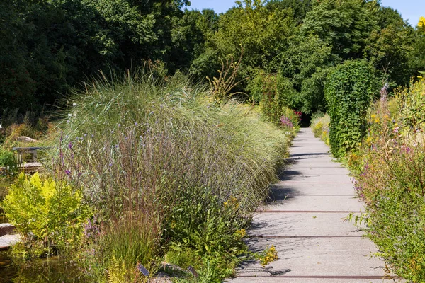 Jardín Camino Hortus Botanicus Alkmaar Holanda Septentrional Holanda —  Fotos de Stock