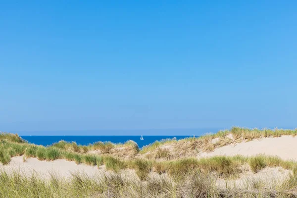 Scenic of dunes along the Dutch coast of North Holland between Schoorl and Petten in The Netherlands