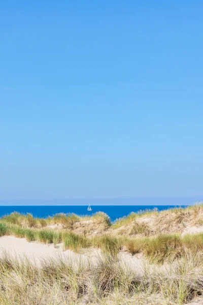 Panoramica Delle Dune Lungo Costa Olandese Dell Olanda Settentrionale Tra — Foto Stock