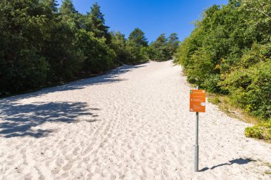Schoorl, Netehrlands - 10 Ağustos 2022: Kuzey Hollanda kıyıları boyunca Schoorl 'da dik tırmanma kum tepeciği