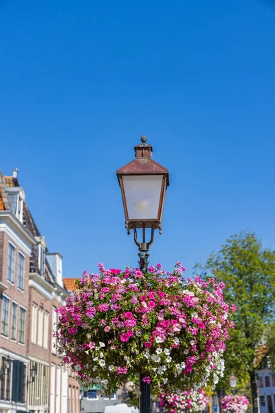 オランダの北オランダにあるホーンの中心にあるカラフルなピンクとバイオレットのサルフィニアとゼラニウムの花のバスケット — ストック写真