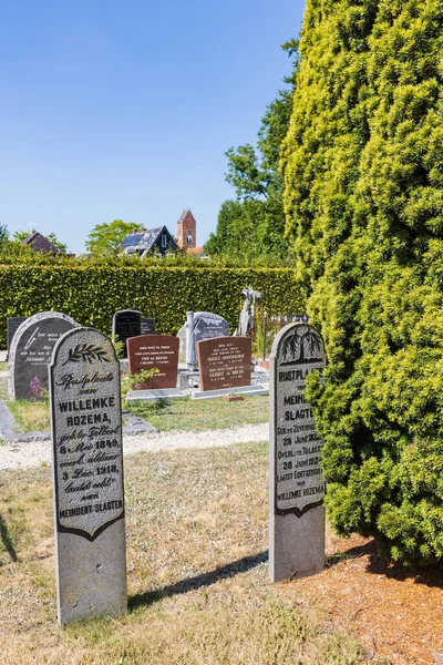 2022年8月24日 オランダ トールベルト市 古い手のひらの枝を持つ墓とグリーニンゲン州の自治体Westerkwartierのトールベルト墓地村の柳のシンボル — ストック写真