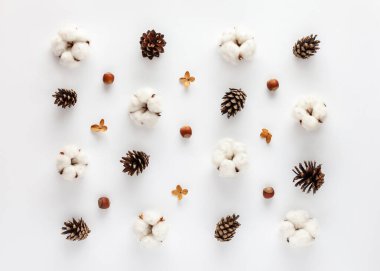 Sonbahar kompozisyonu. Şablon. Düz yatıyordu.