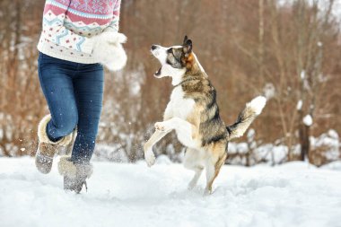 Köpek kışın sahibiyle birlikte doğada yürür. Antrenman yapıp oynuyorlar.            