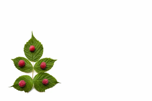 Natal Meriah Penataan Bunga Daun Raspberry Dan Buah Beri Latar — Stok Foto