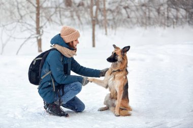 Köpek kışın sahibiyle birlikte doğada yürür. Antrenman yapıp oynuyorlar..     