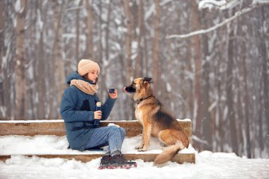 Köpek kışın sahibiyle birlikte doğada yürür. Antrenman yapıp oynuyorlar..  