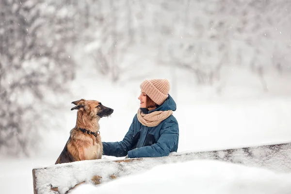 Pes Prochází Zimě Přírodě Svým Pánečkem Trénují Hrají — Stock fotografie