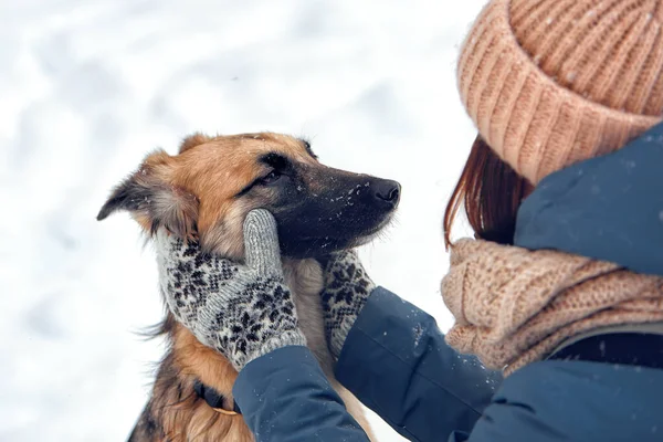 Pes Prochází Zimě Přírodě Svým Pánečkem Trénují Hrají — Stock fotografie