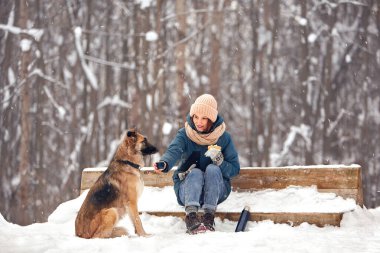 Köpek kışın sahibiyle birlikte doğada yürür. Antrenman yapıp oynuyorlar..
