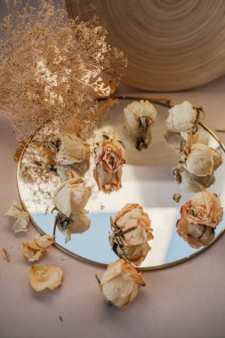 Kuru beyaz güllerin tomurcukları bej bir arka planda yatıyor, narin bir kompozisyon, arka plan