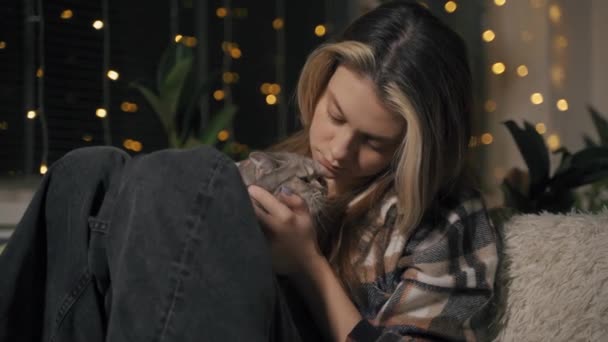 Μια νεαρή γυναίκα με καρό πουκάμισο κρατά τη σκωτσέζικη γάτα της στα χέρια της και φιλάει. — Αρχείο Βίντεο