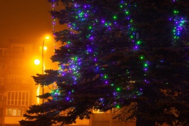 Yeni yılın sisli gecesinde binanın önündeki fidan dalı ve Noel süsleme ışıkları..