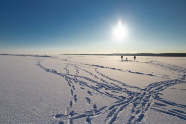 Buz ve beyaz karla kaplı donmuş Curonian gölü. Mavi gökyüzü ve güneş ışığında 3 insan silueti