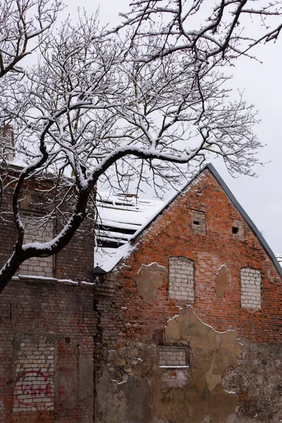 Oud geel oranje bakstenen gebouw in de winter. Een boom voor de verwoeste muur van het huis. Verticale foto — Stockfoto