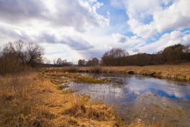 Beyaz Rusya 'da bahar. Kuru sarı çimenler, nehirde yansıyan mavi gökyüzü. Sıcak, güneşli bir nisan günü kır fotoğrafı..