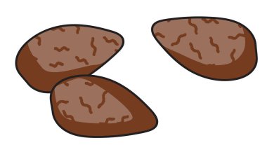 Karikatür tarzı kahverengi badem fındık vektör çizimi. Bar restoranının menü reklamları, poster, kart, çiftçi pazarı gıda dekorasyonu, web sitesi tasarımı veya çıkartmaları