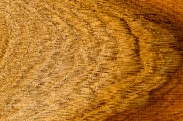 Rough oak wood plank cut saw closeup photo background — Stock Photo, Image