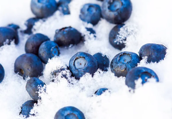 Frozen fresh blueberries in white snow. Shallow depth of field selective focus photo