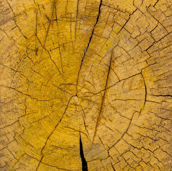 Old yellow wooden cross section of the tree background. House reparation, housework exterior and interior design backdrop