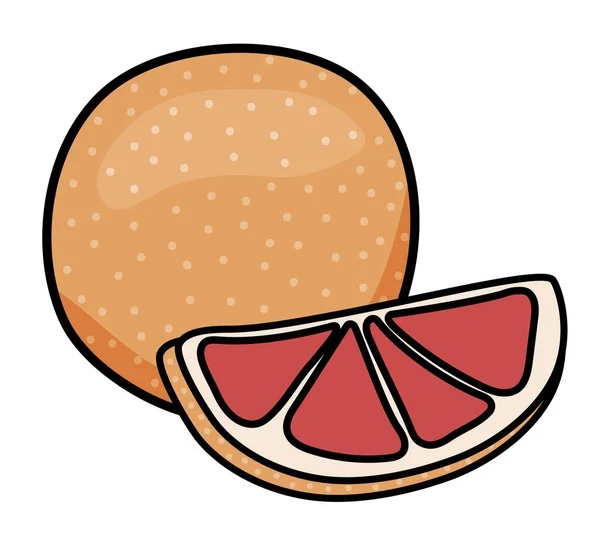 Doodle Cartoon Whole Slice Grapefruit Fruit Menu Farmers Market Design — 스톡 벡터