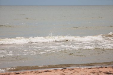 Güzel Baltık sahili kıyı manzarası kayalar bulutlu bulutlu hava.