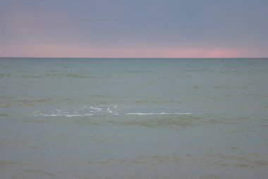 Deniz manzaralı gün batımı arkaplanda deniz ve gün batımı ışığı.