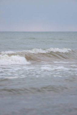 Güzel Baltık sahili kıyı manzarası kayalar bulutlu bulutlu hava.