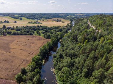 Tarımsal alan ve orman boyunca akan küçük kırsal nehir manzarası. Fotoğraf sıcak ve bulutlu bir yaz gününde çekildi..
