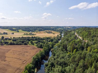 Tarımsal alan ve orman boyunca akan küçük kırsal nehir manzarası. Fotoğraf sıcak ve bulutlu bir yaz gününde çekildi..