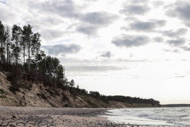 Baltık Denizi yakınında kıyı şeridi olan doğa manzarası. Fotoğraf rüzgarlı ve bulutlu bir günde çekildi..